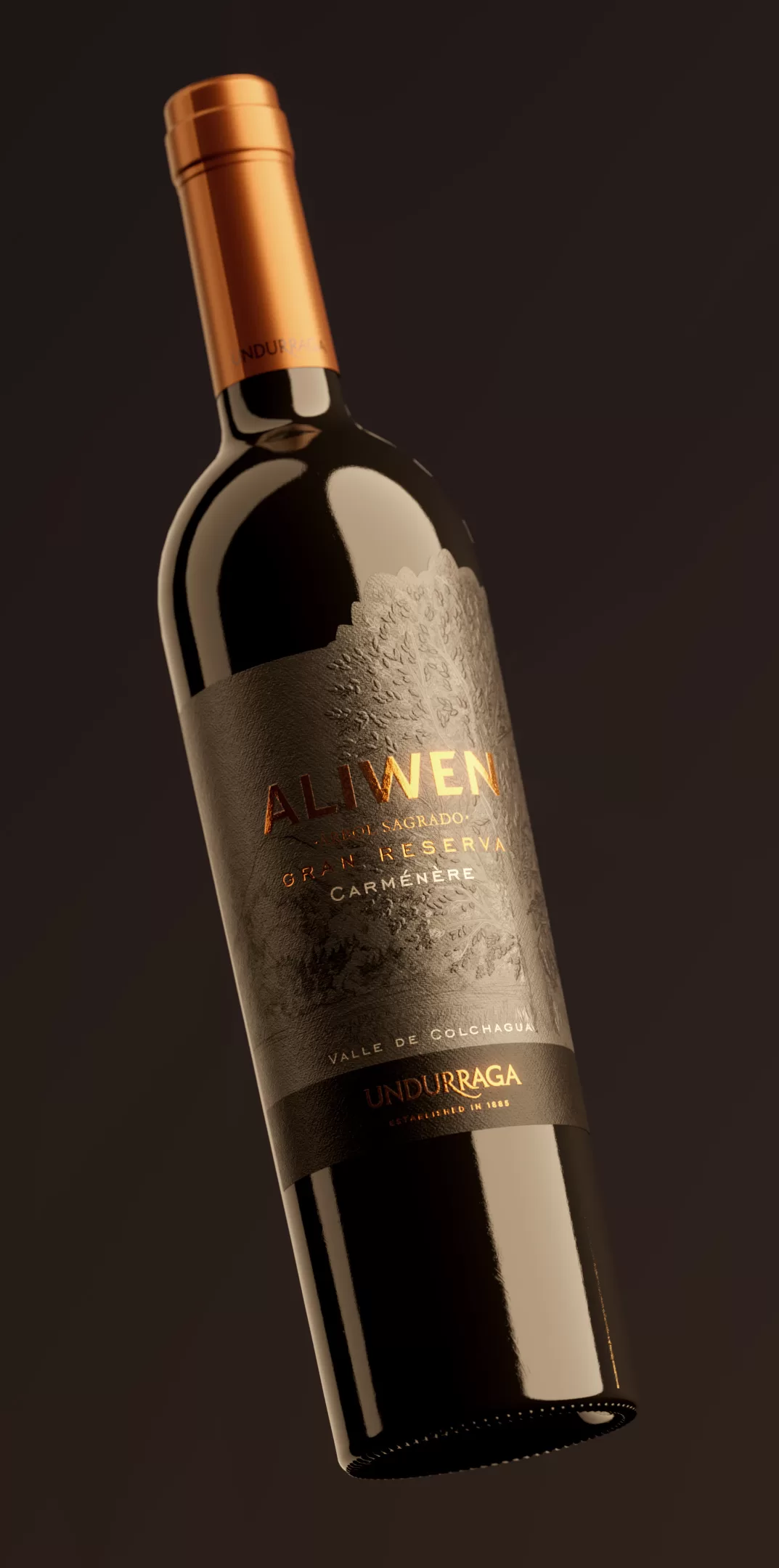 Aliwen Gran Reserva Vino tinto chile Undurraga