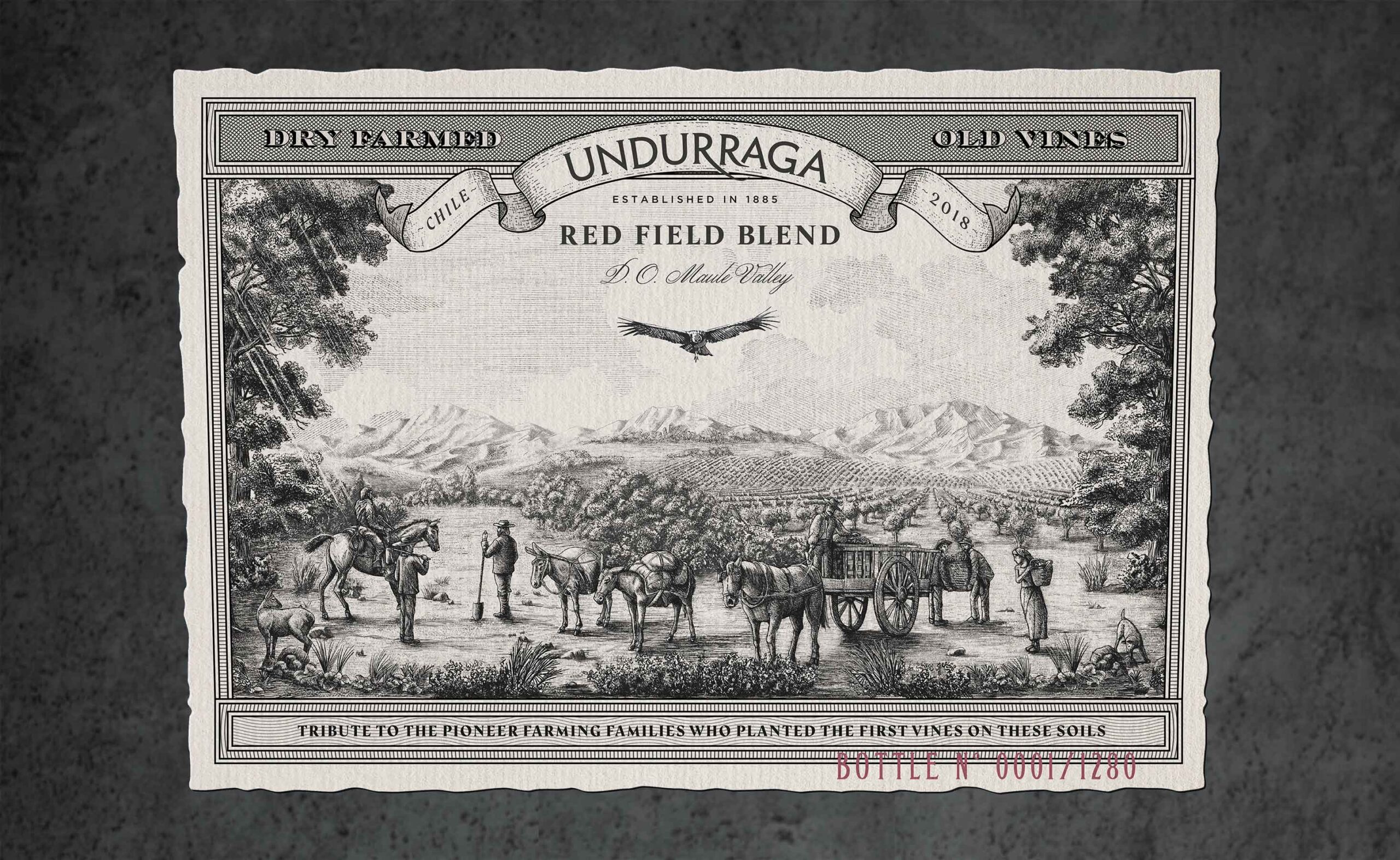 Red Field Blend wine label design for Undurraga wines in Chile illustration engraved premium
